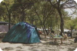 Camping Santa Margherita
