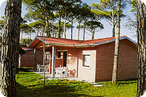 Villaggio California