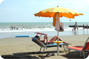 Albergo International